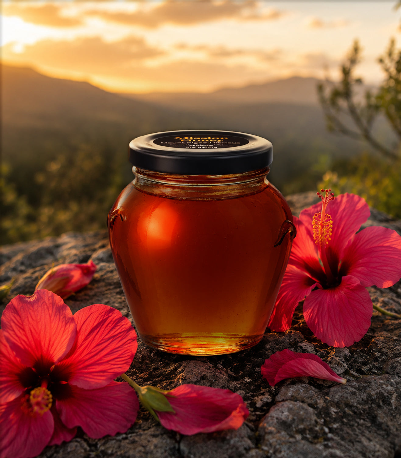Mt. Elgon Hibiscus
